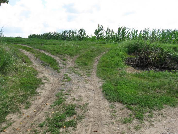 Мачухи з panoramio.com - Мачухи