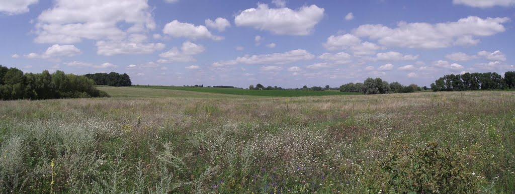 Розаліївка з panoramio.com - Розаліївка