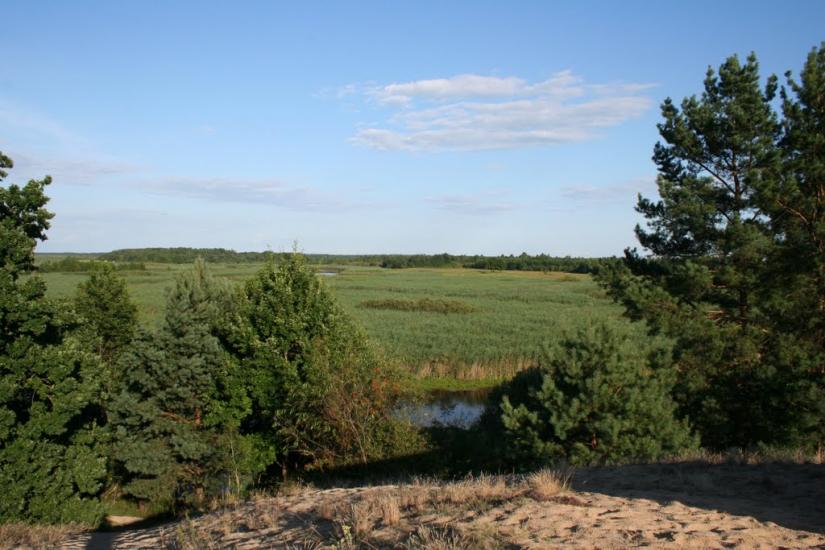 Бучин з panoramio.com - Бучин