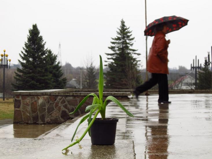 Мала Тур'я з panoramio.com - Малая Турья