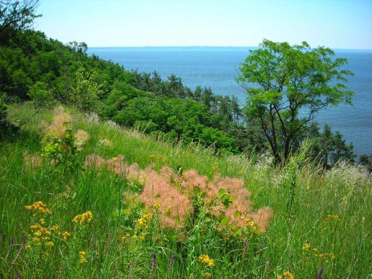 Градизьк з panoramio.com - Gradyzk