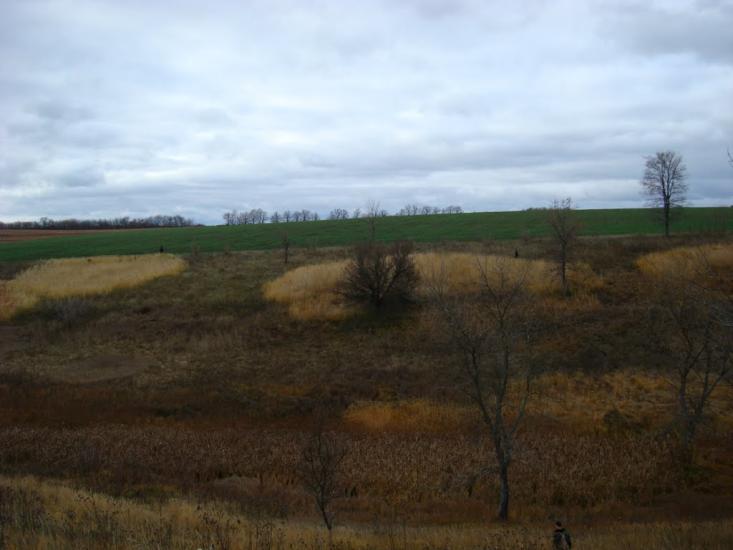 Бондарівщина з panoramio.com - Бондарівщина