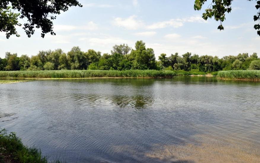 Кринки з panoramio.com - Кринки
