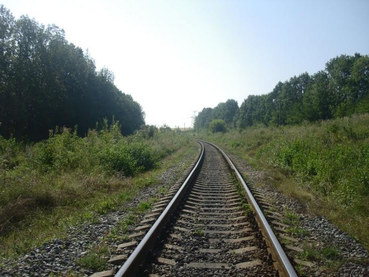 Панівці з panoramio.com - Panivtsi