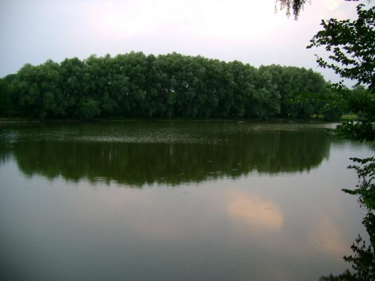 Кропивна з panoramio.com - Кропивна