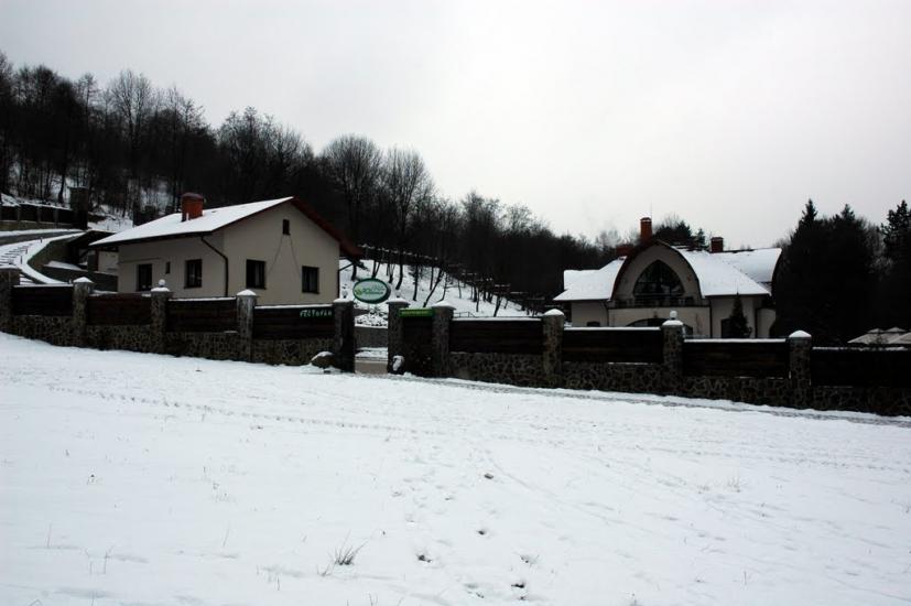 Свалява з panoramio.com - Svalyava