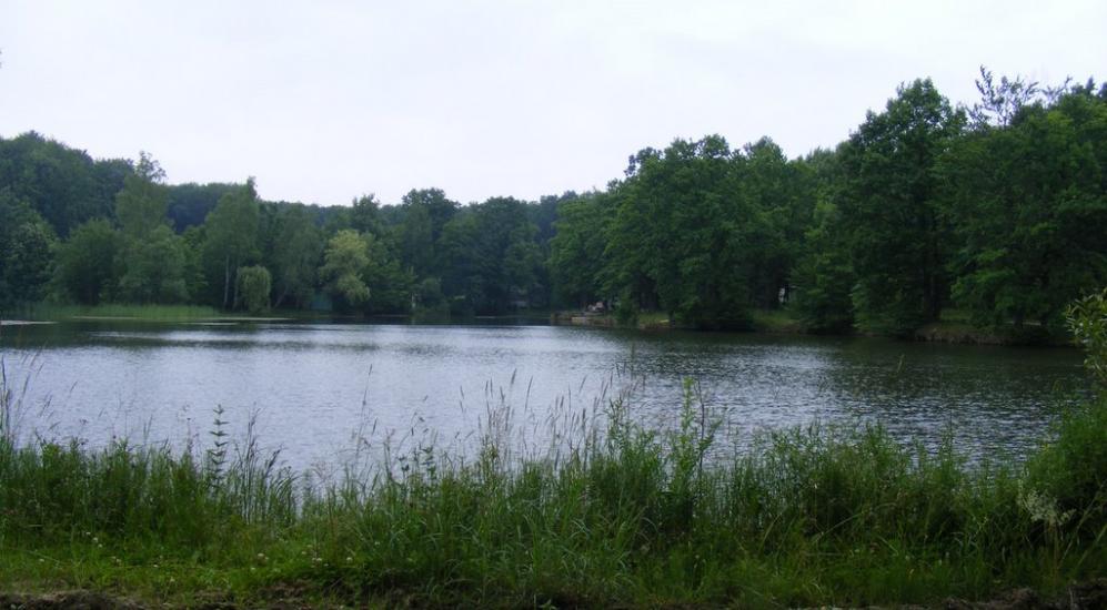 Старі Бросківці з panoramio.com - Старые Бросковцы