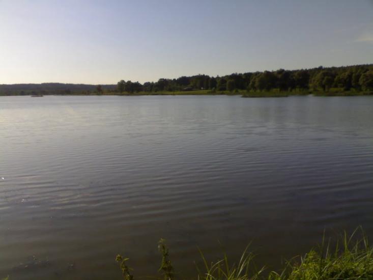 Студинка з panoramio.com - Студинка