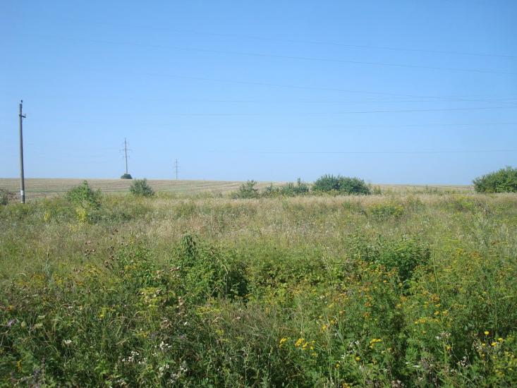 Панівці з panoramio.com - Панівці