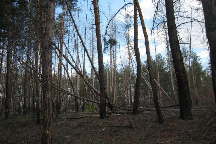 Піщане з panoramio.com - Pischane