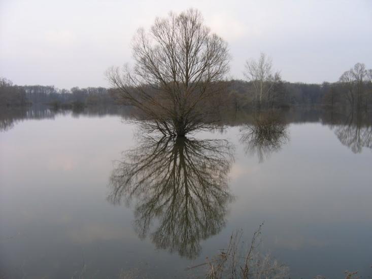 Курган з panoramio.com - Курган