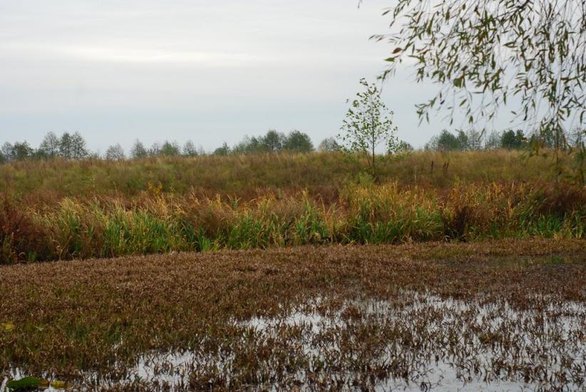 Остапівка з panoramio.com - Остапівка