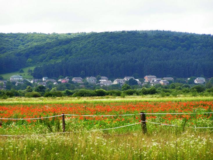 Воля-Висоцька з panoramio.com - Воля-Висоцька