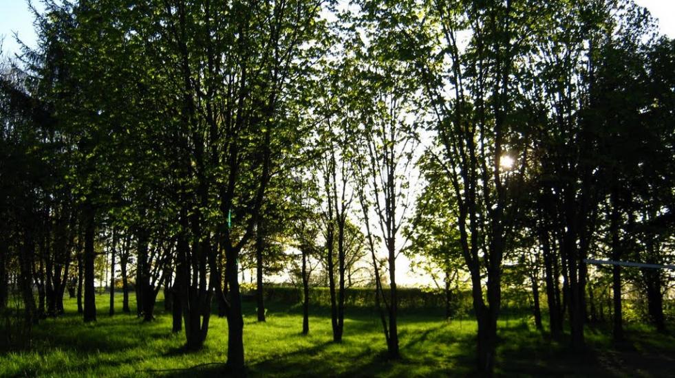 Радехів з panoramio.com - Радехов