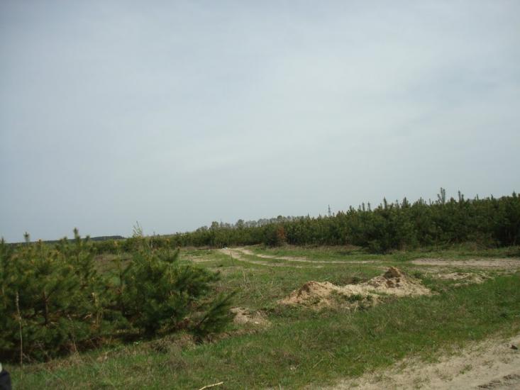 Голоби з panoramio.com - Голоби