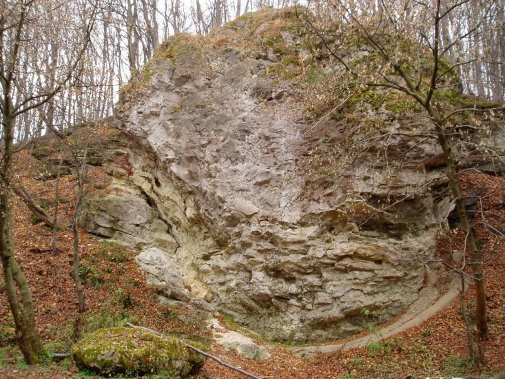 Винники з panoramio.com - Vynnyky