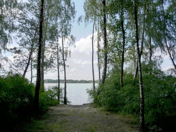 Ровжі з panoramio.com - Ровжи