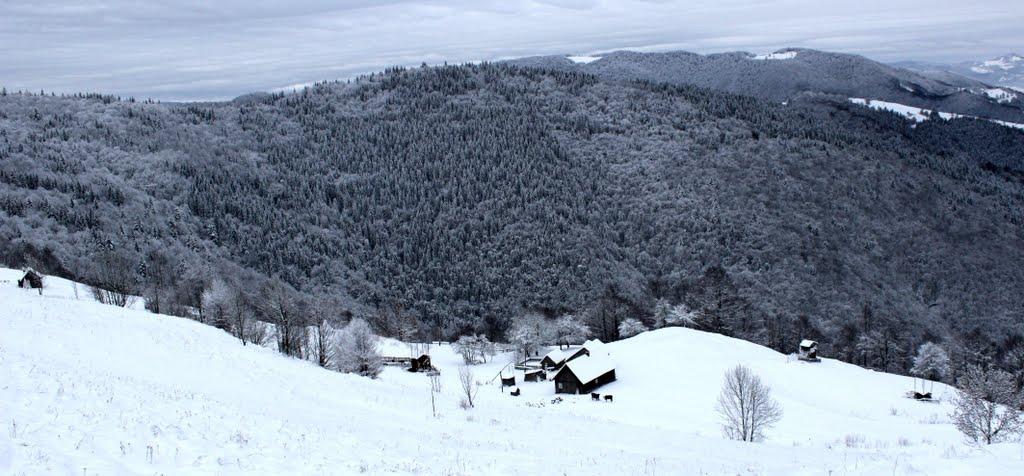 Кваси з panoramio.com - Квасы