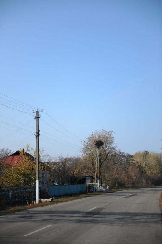 Нова Оржиця з panoramio.com - Новая Оржица