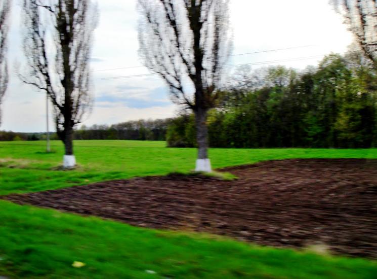 Лисянка з panoramio.com - Lysyanka