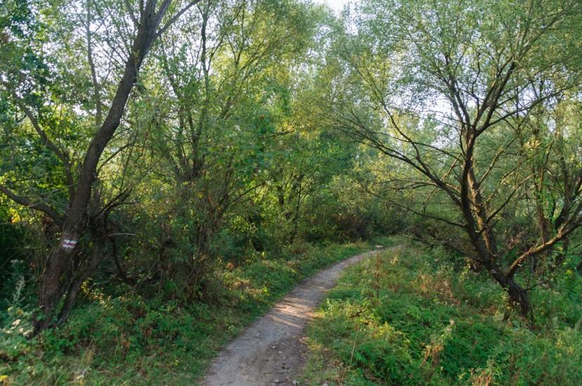 Великий Березний з panoramio.com - Великий Березний