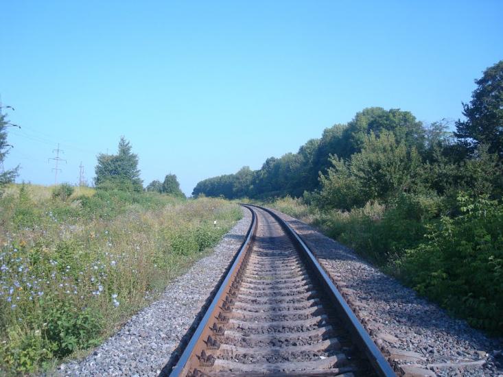 Панівці з panoramio.com - Панівці