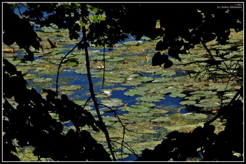 Коропове з panoramio.com - Koropove