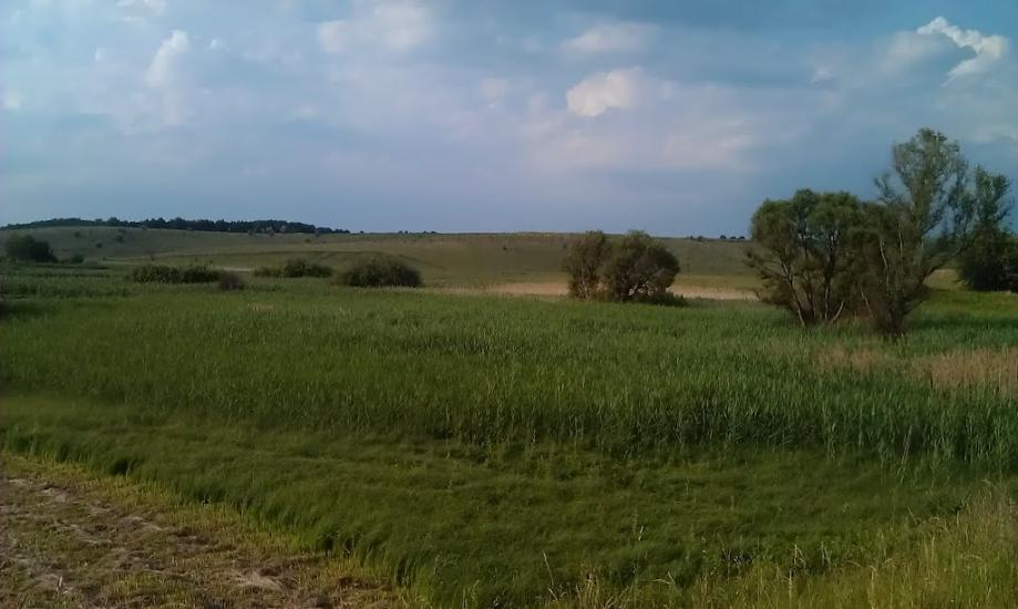 Салиха з panoramio.com - Салиха