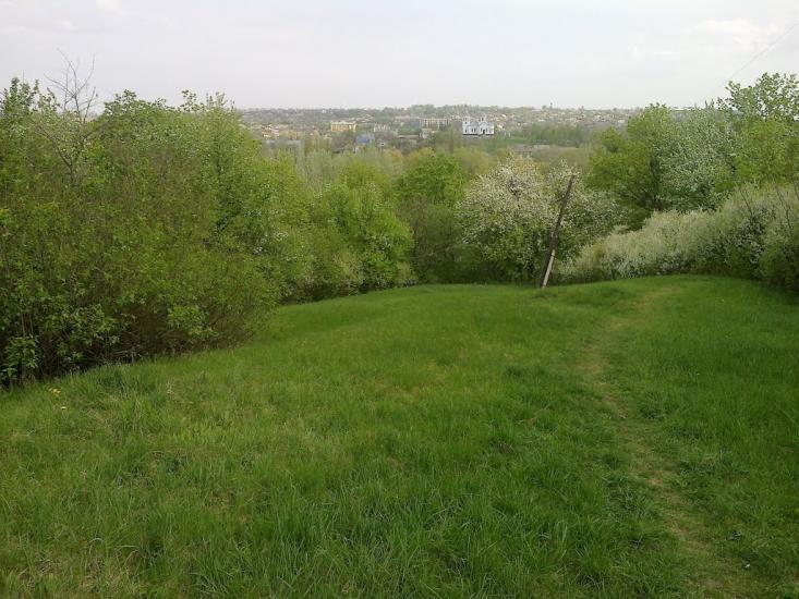 Велика Багачка з panoramio.com - Велика Багачка