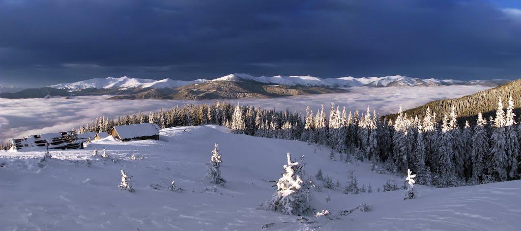 Чорна Тиса з panoramio.com - Черная Тиса