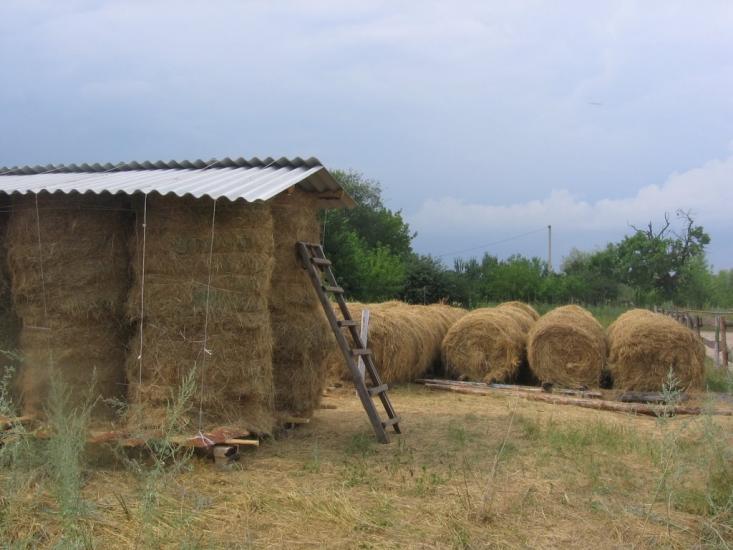 Романків з panoramio.com - Романков