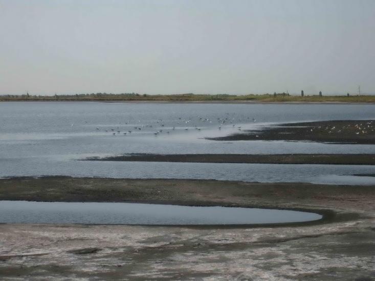 Ясинувата з panoramio.com - Ясинувата