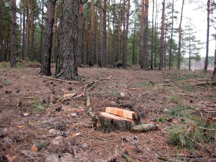 Угриничі з panoramio.com - Угриничі