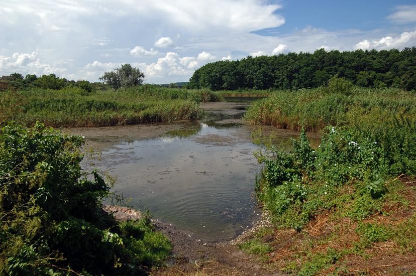 Іскра з panoramio.com - Iskra