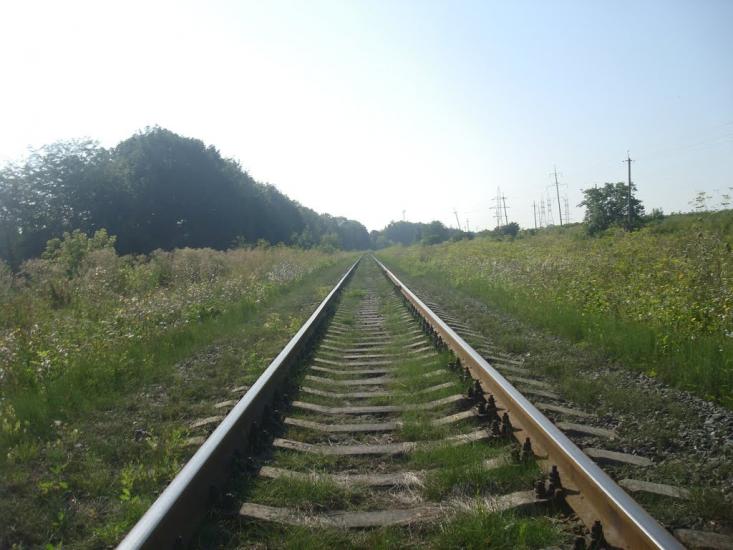 Цибулівка з panoramio.com - Цибулівка