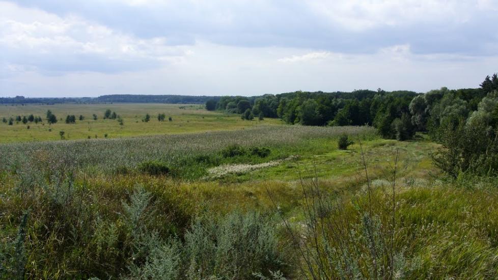Пашенівка з panoramio.com - Пашеновка