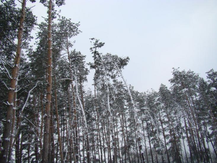Рокитне з panoramio.com - Ракитное