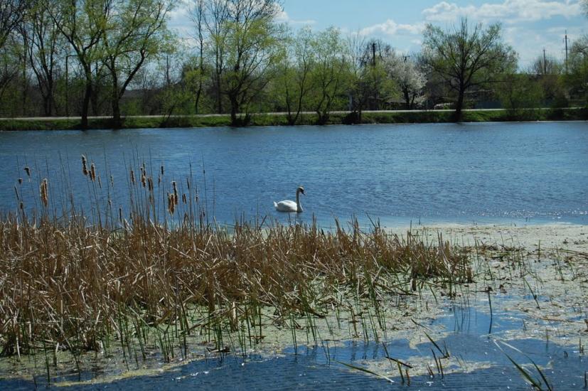 Руда з panoramio.com - Руда