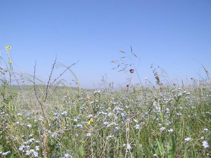 Мисове з panoramio.com - Мысовое