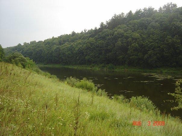 Губків з panoramio.com - Губків