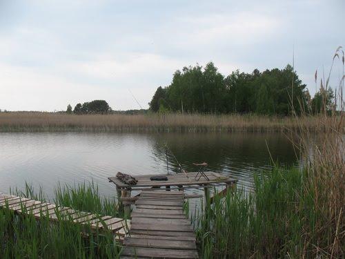 Лошакова Гута з panoramio.com - Лошакова Гута