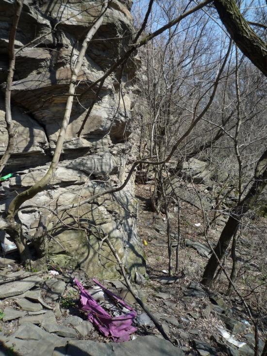 Маломиколаївка з panoramio.com - Малониколаевка