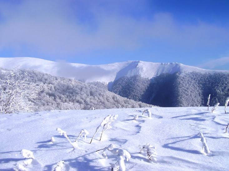 Вовчий з panoramio.com - Волчий