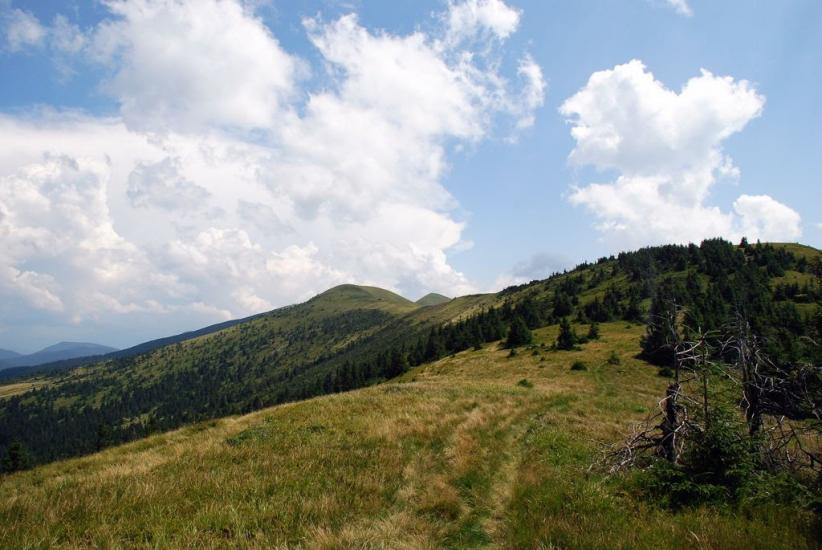 Заверхня Кичера з panoramio.com - Заверхняя Кичера