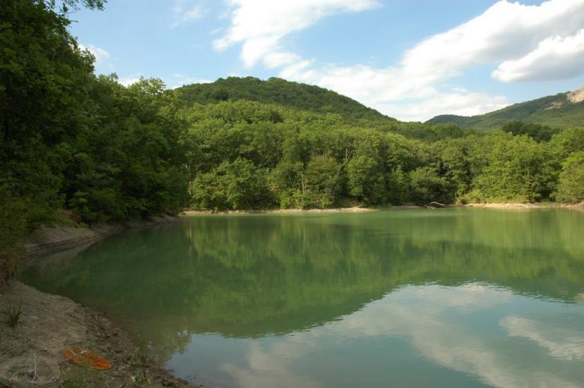 Ворон з panoramio.com - Ворон