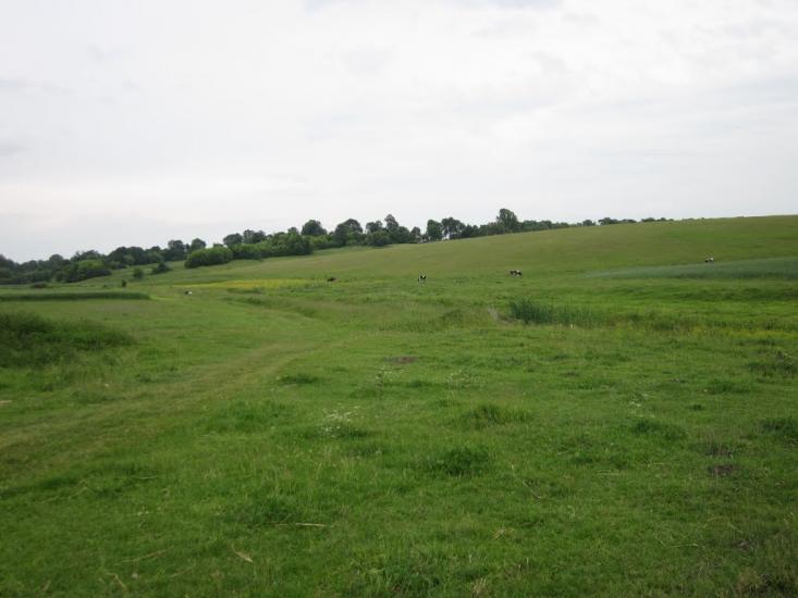 Половинники з panoramio.com - Половинники