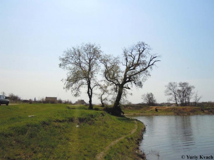 Василівка з panoramio.com - Василівка