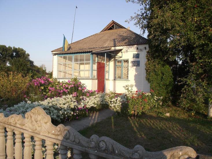 Розаліївка з panoramio.com - Rozaliyivka