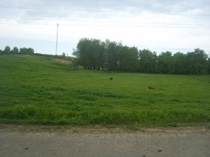 Миколаївка з panoramio.com - Миколаївка