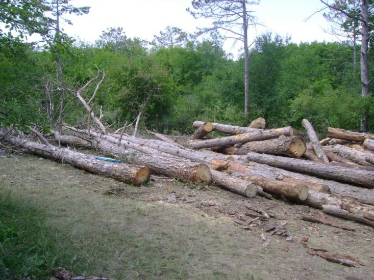 Каштанове з panoramio.com - Каштановое